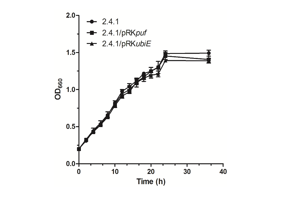 figure2